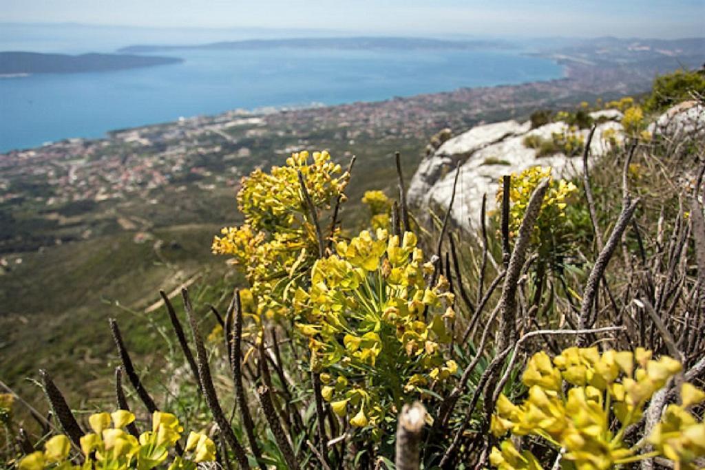 Kaštela Apartmani Strada מראה חיצוני תמונה